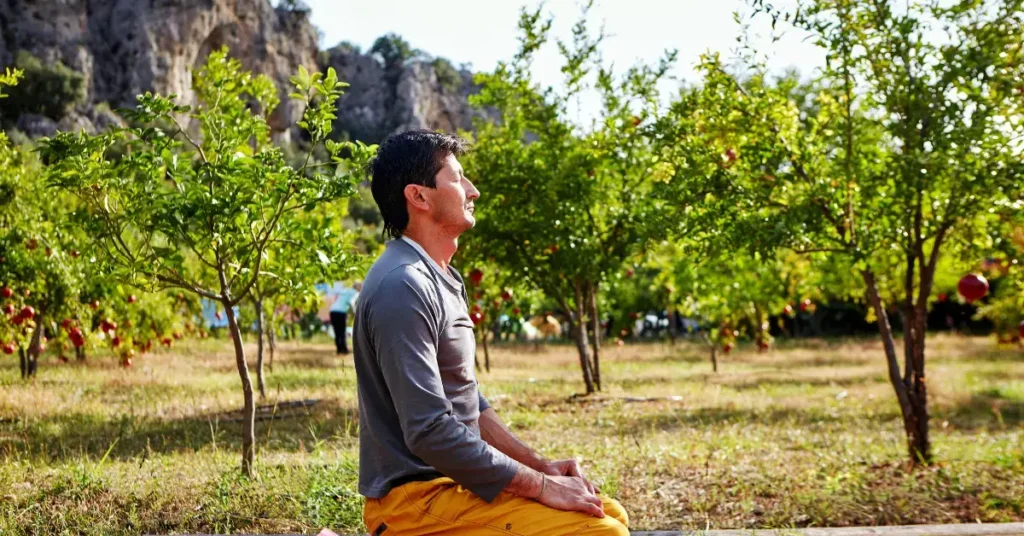 Man Sitting In A Meditative Garden