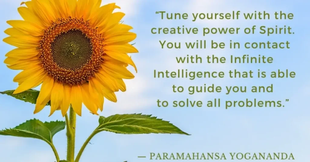 Spirit Guide Meditation Quote Sunflower