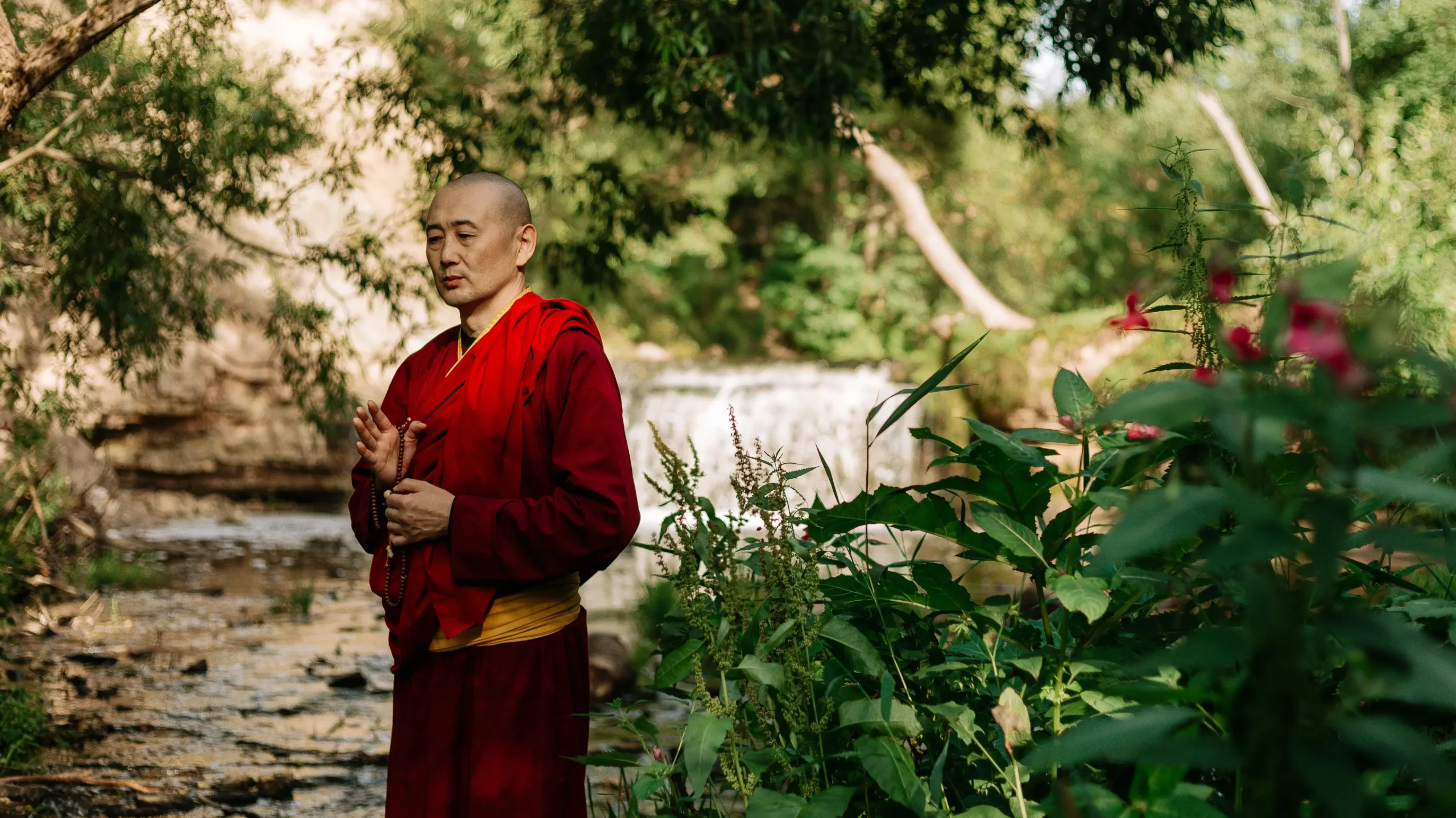 Buddha Meditation in Zen Garden 