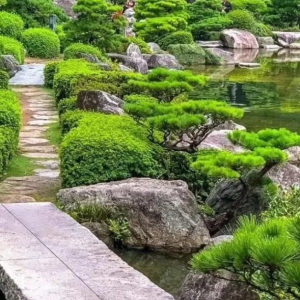 Zen Meditation Garden Design