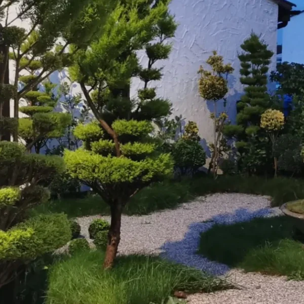 Small Meditation Garden