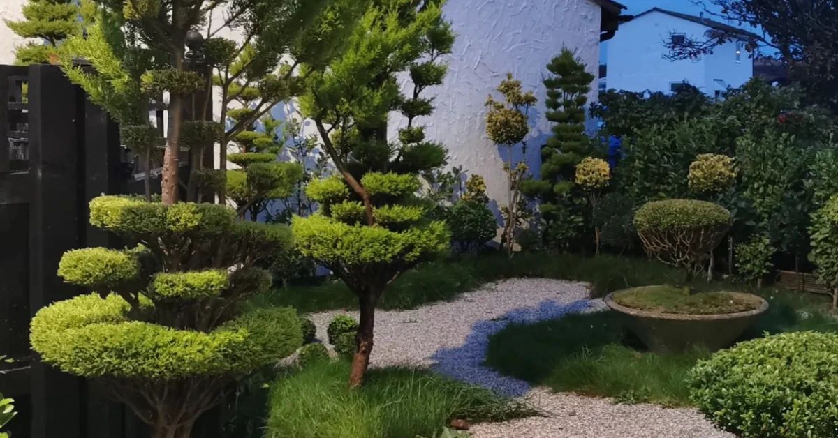 Small Meditation Garden