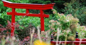 Small Backyard Meditation Garden