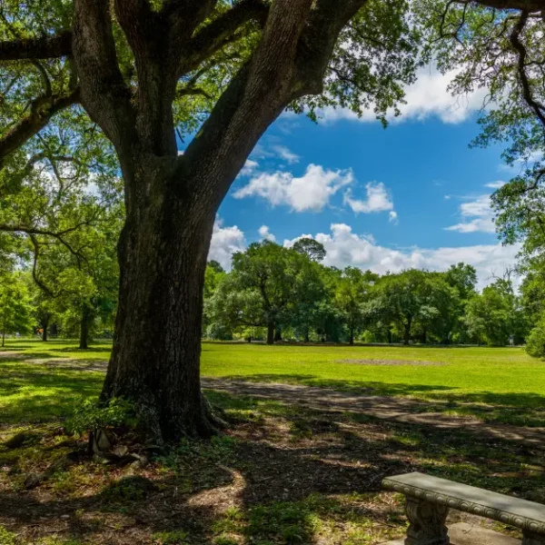 Audubon Park Meditation Garden